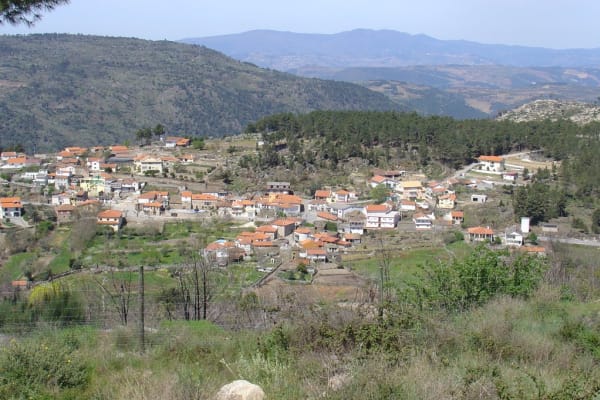 Foto 188 da atividade Galeria de Fotos