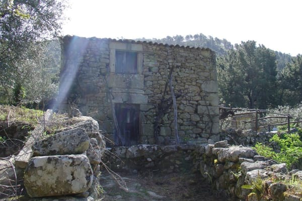 Foto 165 da atividade Galeria de Fotos