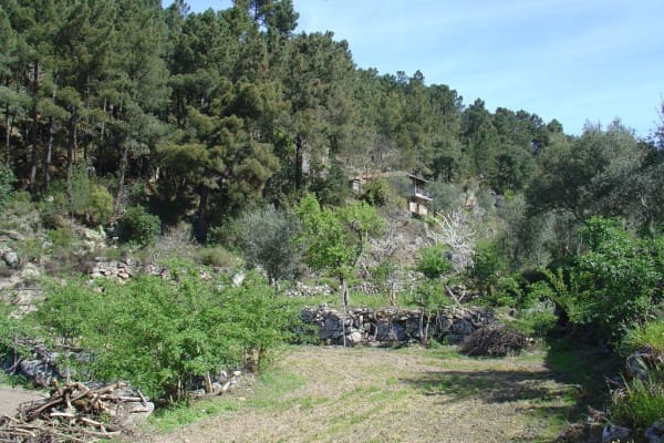 Foto 141 da atividade Galeria de Fotos