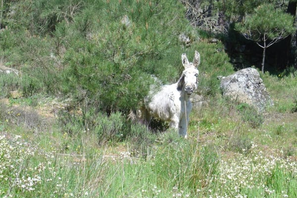 Foto 142 da atividade Galeria de Fotos