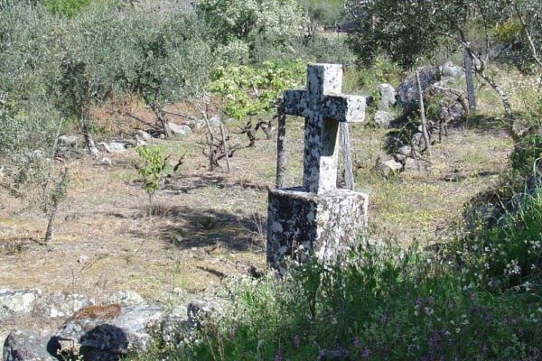 Foto 136 da atividade Galeria de Fotos