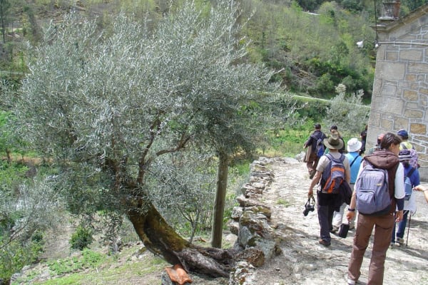 Foto 73 da atividade Galeria de Fotos