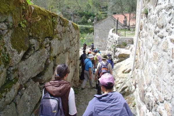 Foto 62 da atividade Galeria de Fotos