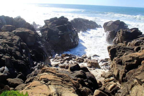 Foto 83 da atividade Galeria de Fotos