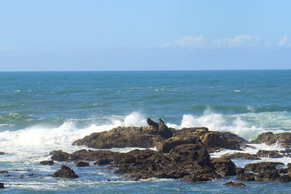 Foto 76 da atividade Galeria de Fotos