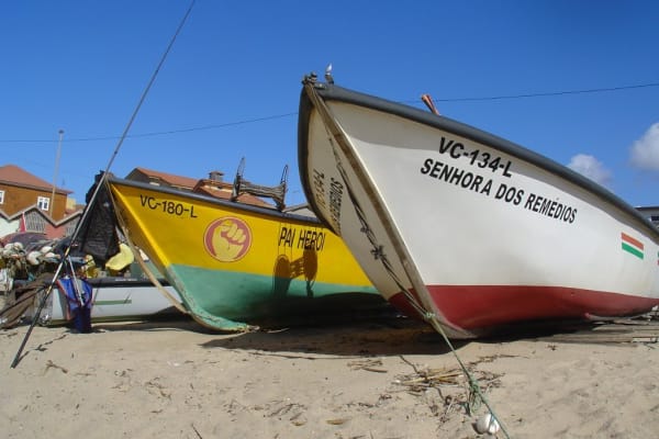 Foto 73 da atividade Galeria de Fotos