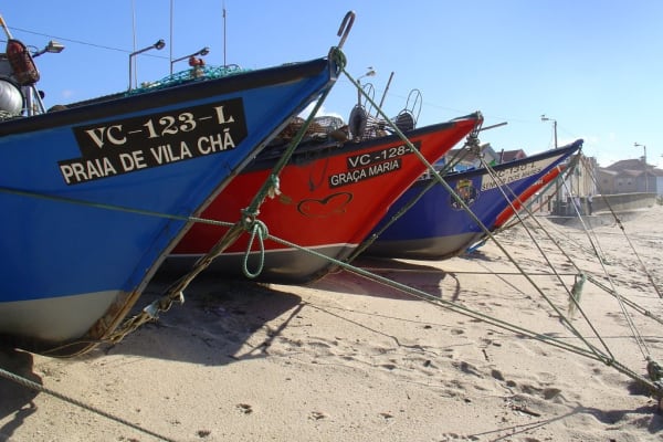 Foto 50 da atividade Galeria de Fotos