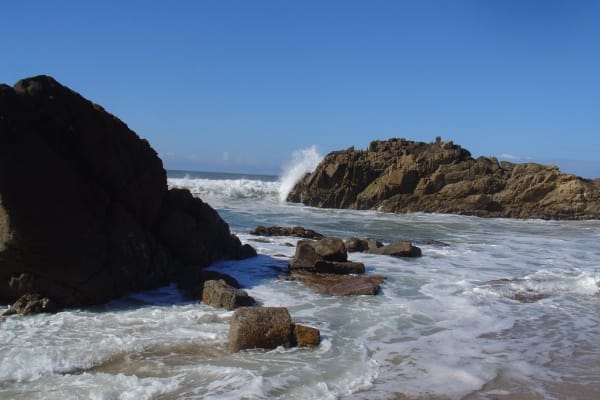 Foto 43 da atividade Galeria de Fotos