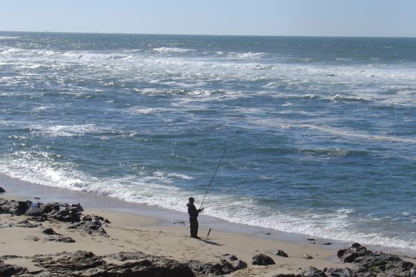 Foto 39 da atividade Galeria de Fotos