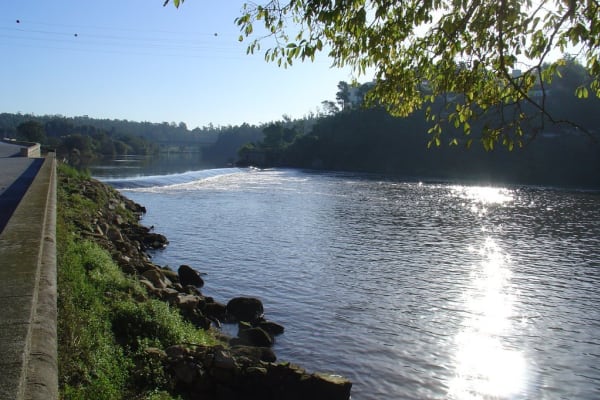 Foto 8 da atividade Galeria de Fotos