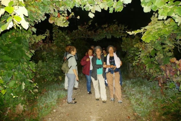 Foto 45 da atividade Galeria de Fotos