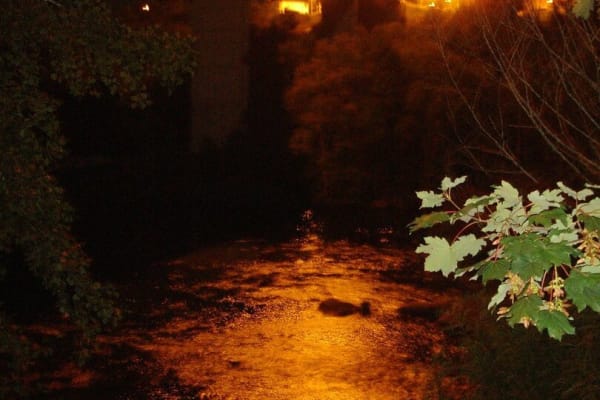 Foto 42 da atividade Galeria de Fotos