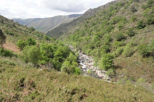 Foto 60 da atividade Galeria de Fotos