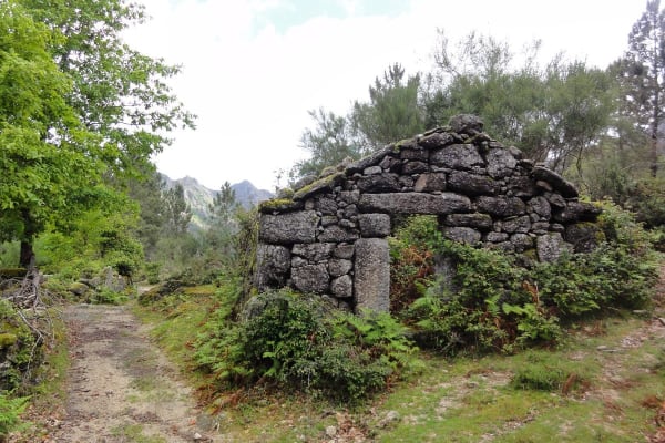 Foto 54 da atividade Galeria de Fotos