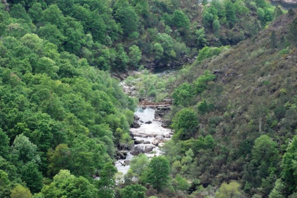 Foto 51 da atividade Galeria de Fotos