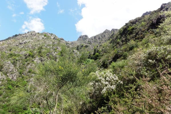 Foto 49 da atividade Galeria de Fotos