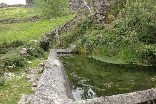 Foto 44 da atividade Galeria de Fotos