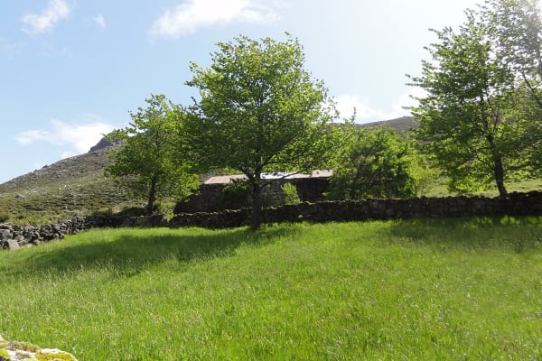 Foto 32 da atividade Galeria de Fotos