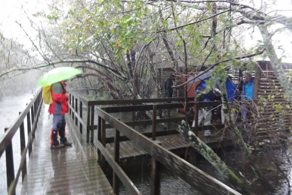 Foto 72 da atividade Galeria de Fotos