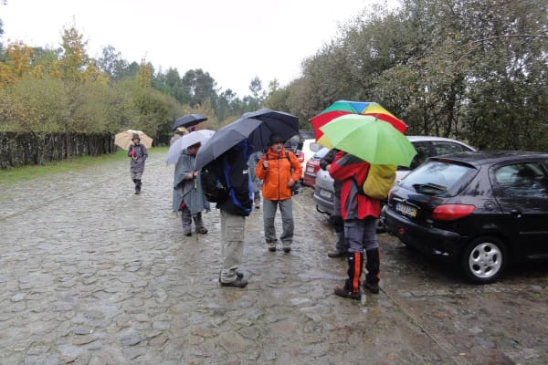 Foto 67 da atividade Galeria de Fotos