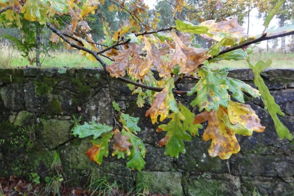 Foto 69 da atividade Galeria de Fotos