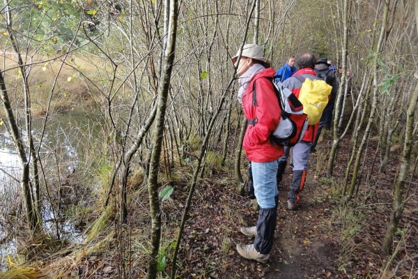 Foto 62 da atividade Galeria de Fotos