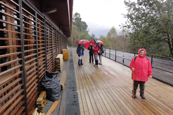 Foto 56 da atividade Galeria de Fotos