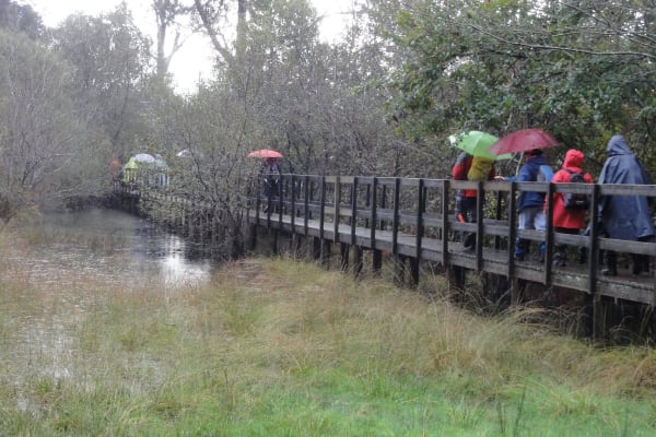 Foto 54 da atividade Galeria de Fotos