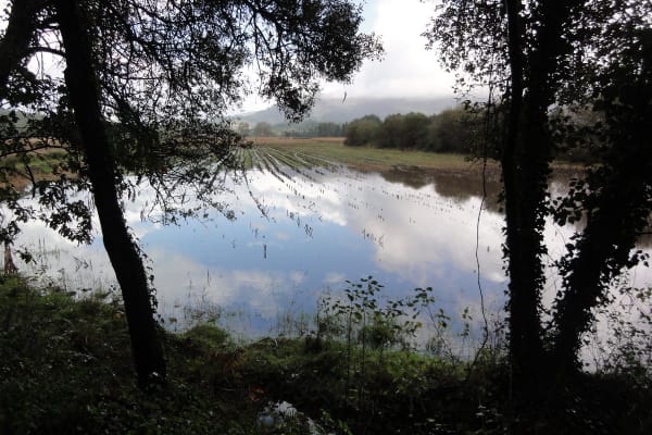 Foto 37 da atividade Galeria de Fotos