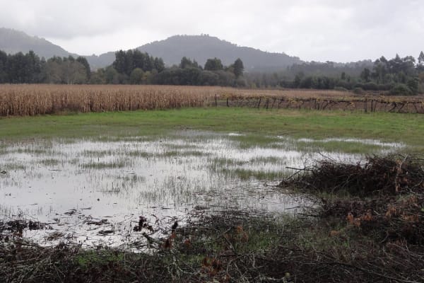 Foto 27 da atividade Galeria de Fotos