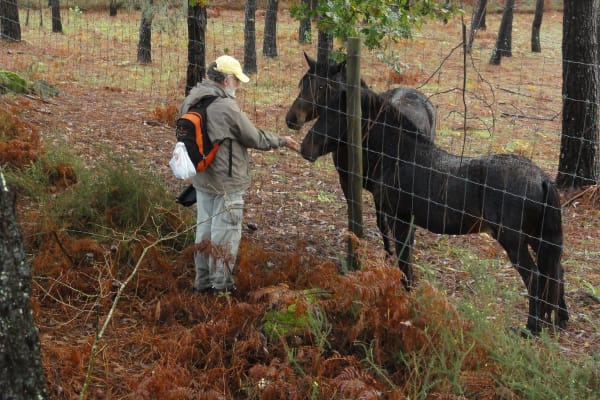 Foto 24 da atividade Galeria de Fotos