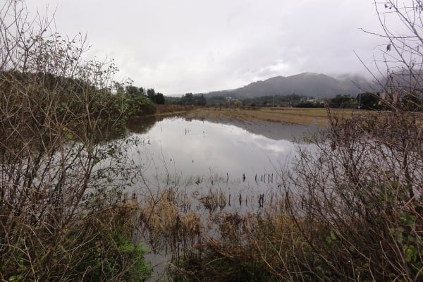 Foto 3 da atividade Galeria de Fotos