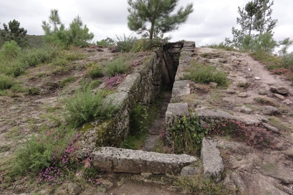 Foto 83 da atividade Galeria de Fotos