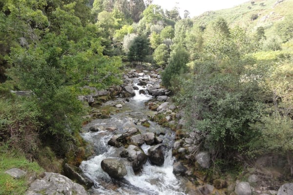 Foto 45 da atividade Galeria de Fotos