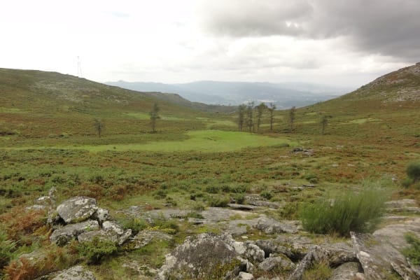 Foto 41 da atividade Galeria de Fotos