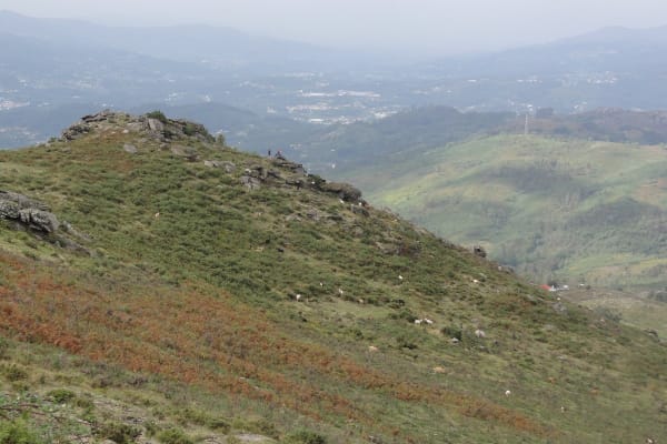 Foto 18 da atividade Galeria de Fotos