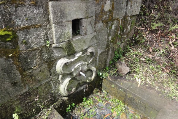 Foto 76 da atividade Galeria de Fotos