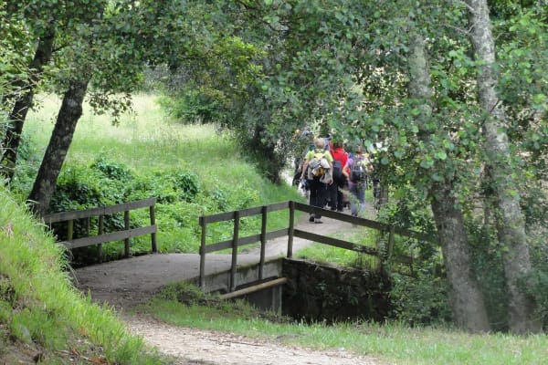 Foto 59 da atividade Galeria de Fotos