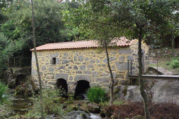 Foto 33 da atividade Galeria de Fotos