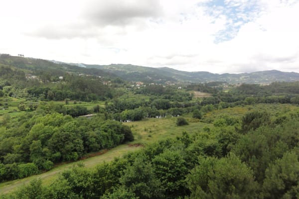 Foto 25 da atividade Galeria de Fotos