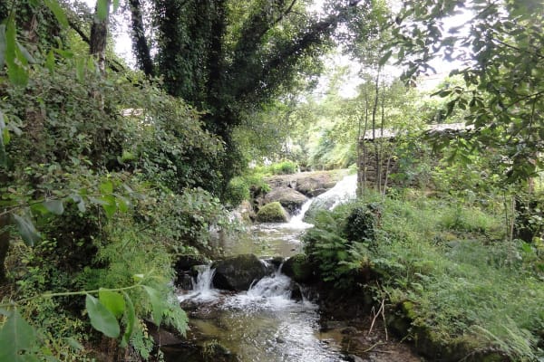 Foto 21 da atividade Galeria de Fotos