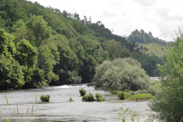 Foto 18 da atividade Galeria de Fotos