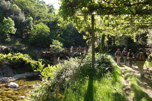 Foto 98 da atividade Galeria de Fotos