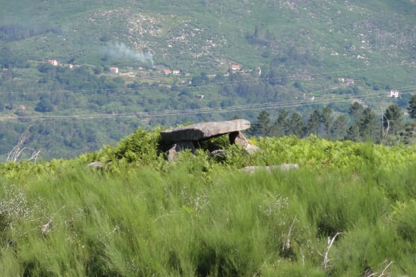 Foto 93 da atividade Galeria de Fotos