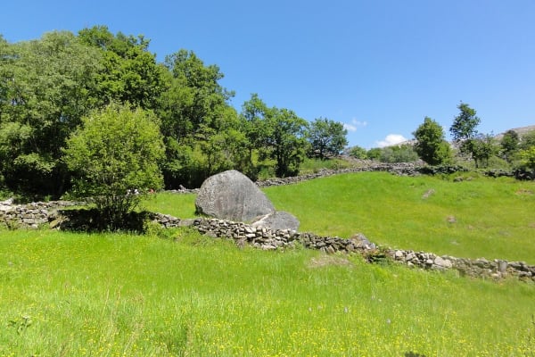 Foto 67 da atividade Galeria de Fotos