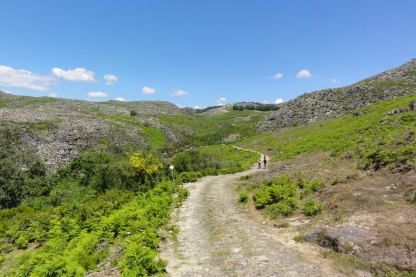 Foto 59 da atividade Galeria de Fotos