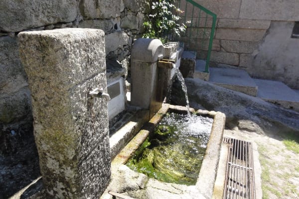 Foto 57 da atividade Galeria de Fotos