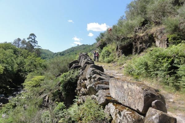 Foto 55 da atividade Galeria de Fotos