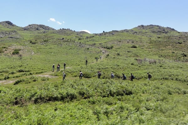 Foto 52 da atividade Galeria de Fotos