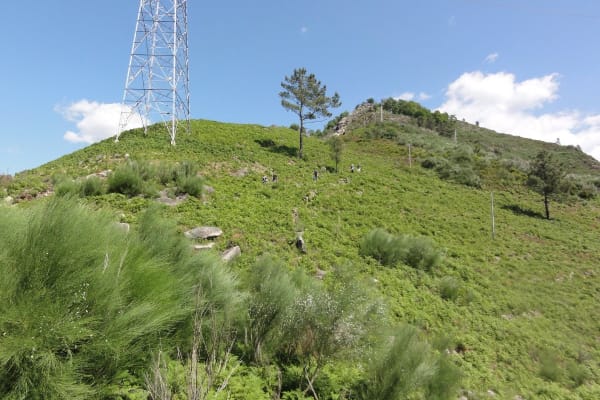 Foto 46 da atividade Galeria de Fotos